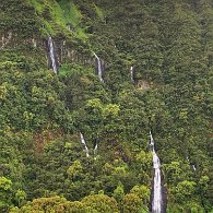 IMG_3560