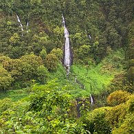 IMG_3561