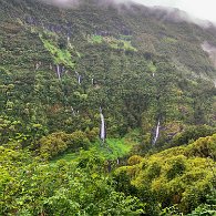 IMG_3562