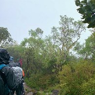 IMG_3569