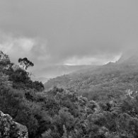 IMG_3572 (1)