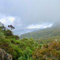 IMG_3572