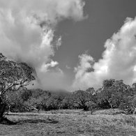 IMG_3588