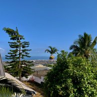 IMG_3687