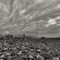 IMG_3727 (1)