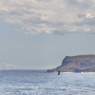 R6OL2761