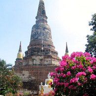 IMG_4440