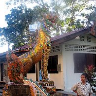 IMG_4572