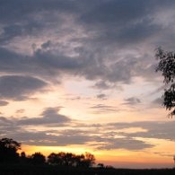 IMG_5009