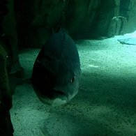 IMG_6555