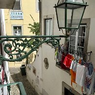 IMG_6750