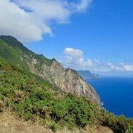 IMG_4237