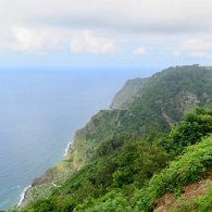 IMG_4474