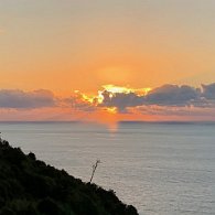 IMG_3247