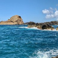 IMG_3344