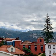 IMG_3837