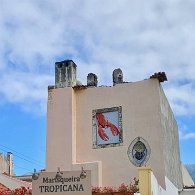 IMG_3905