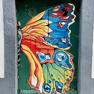 IMG_2786