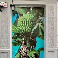 IMG_3847