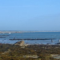 IMG_1654-1