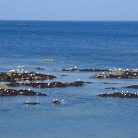 IMG_1433