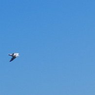 IMG_1436