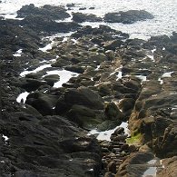 IMG_1457