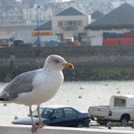IMG_1459