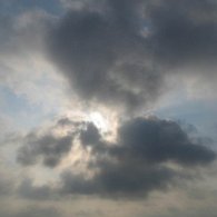 IMG_1463