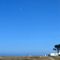 IMG_6135