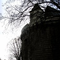 IMG_5602
