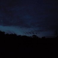 _O123131