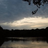 _O123176