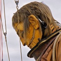 IMG_0945