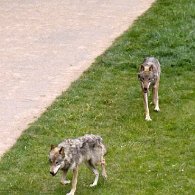 IMG_1173