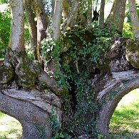 IMG_0897