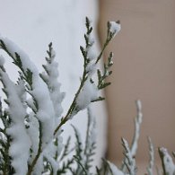 19528_DSC_3718