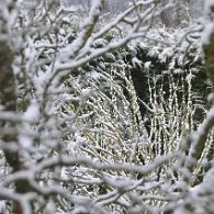 19534_DSC_3724