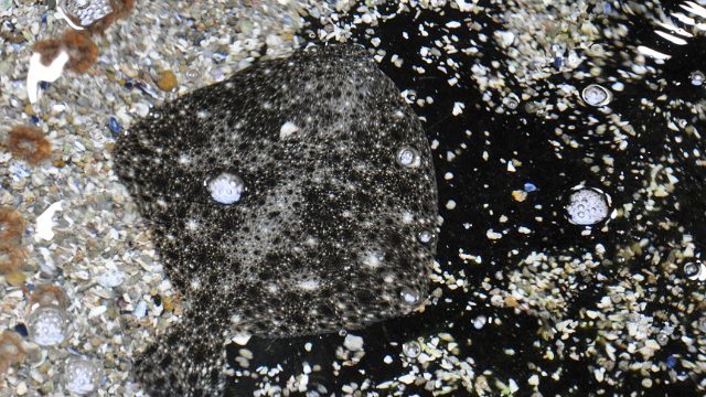 DSC_1692.jpg
