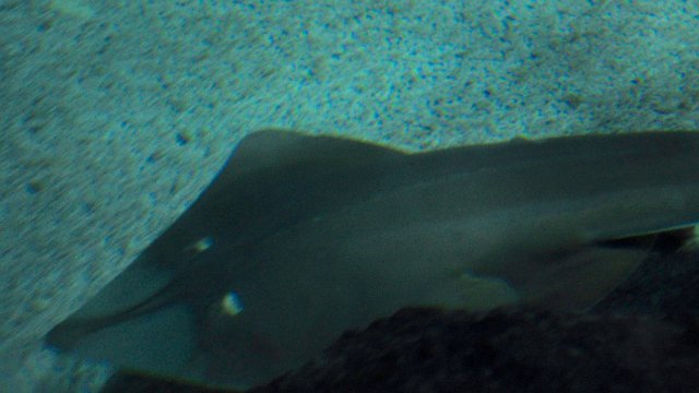 DSC_1706.jpg
