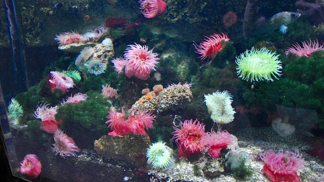 DSC_1717.jpg