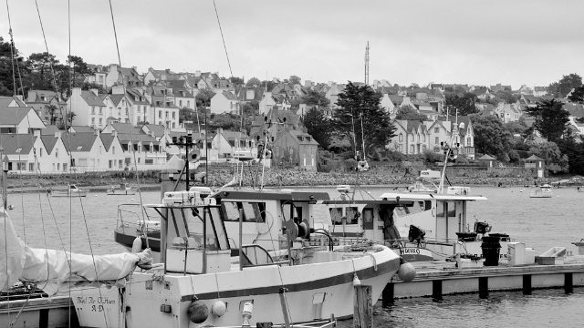 DSC_2058.jpg