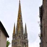 DSC_2064