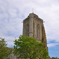 DSC_2038