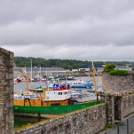 DSC_2270