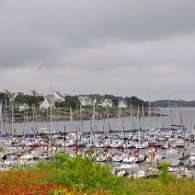 DSC_2273
