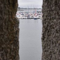 DSC_2275
