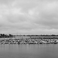 DSC_2277