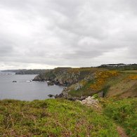 DSC_1917