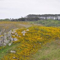 DSC_1919